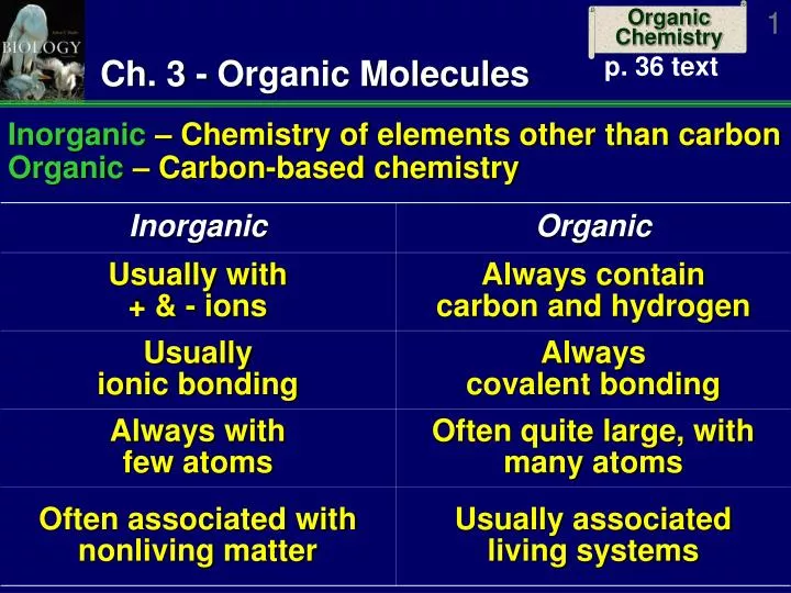 ch 3 organic molecules