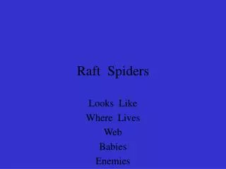 Raft Spiders