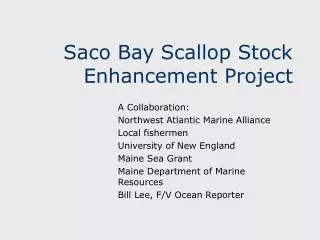 Saco Bay Scallop Stock Enhancement Project