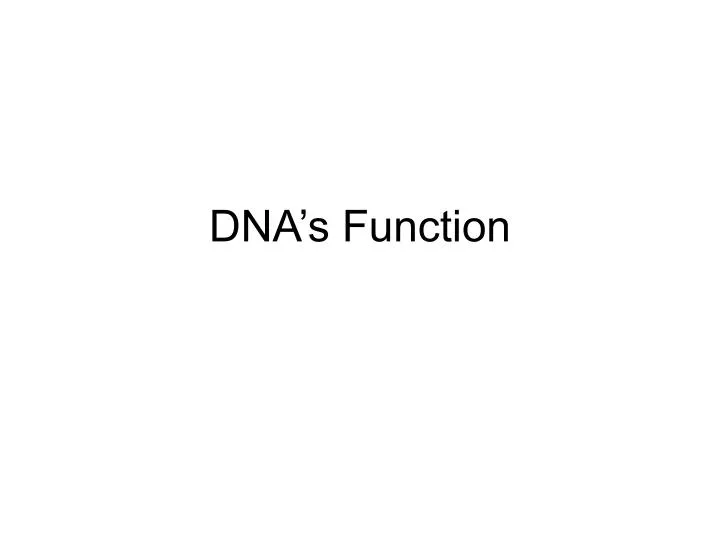dna s function