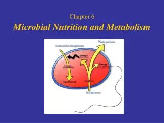 Chapter 6 Microbial Nutrition and Metabolism