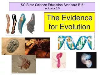 SC State Science Education Standard B-5 Indicator 5.5