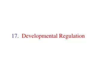 17. Developmental Regulation