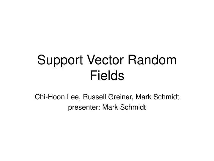 support vector random fields
