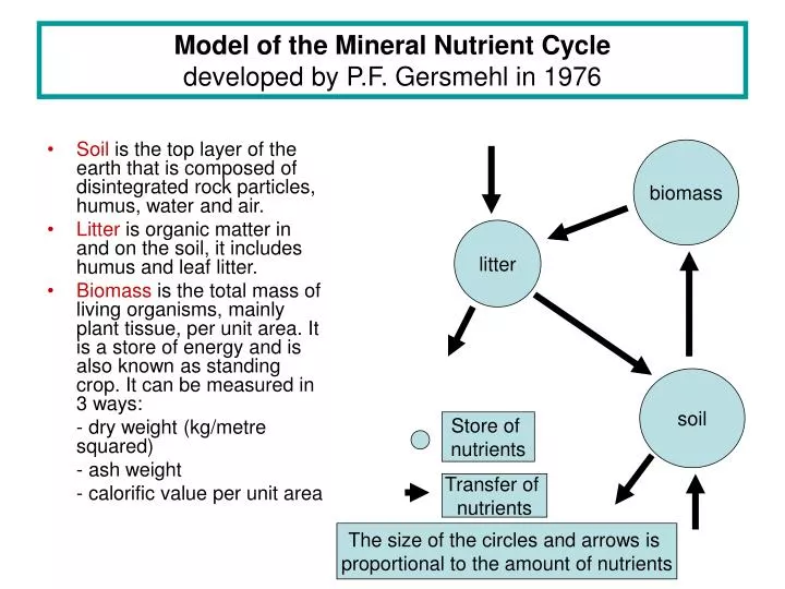 model of the mineral nutrient cycle developed by p f gersmehl in 1976