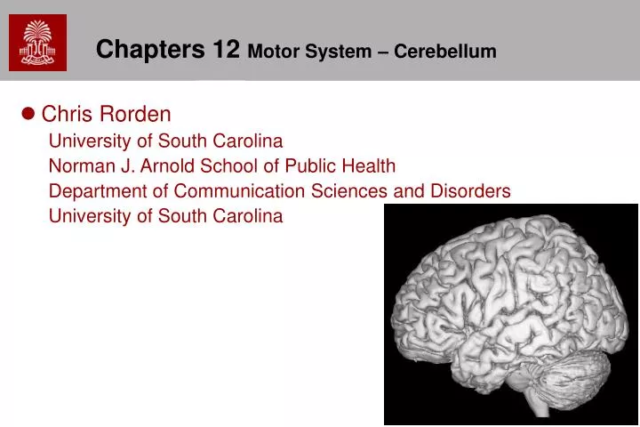 chapters 12 motor system cerebellum