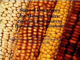 State of Emergency for Mexican Maize: Protecting Biodiversity by Promoting Rural Livelihoods