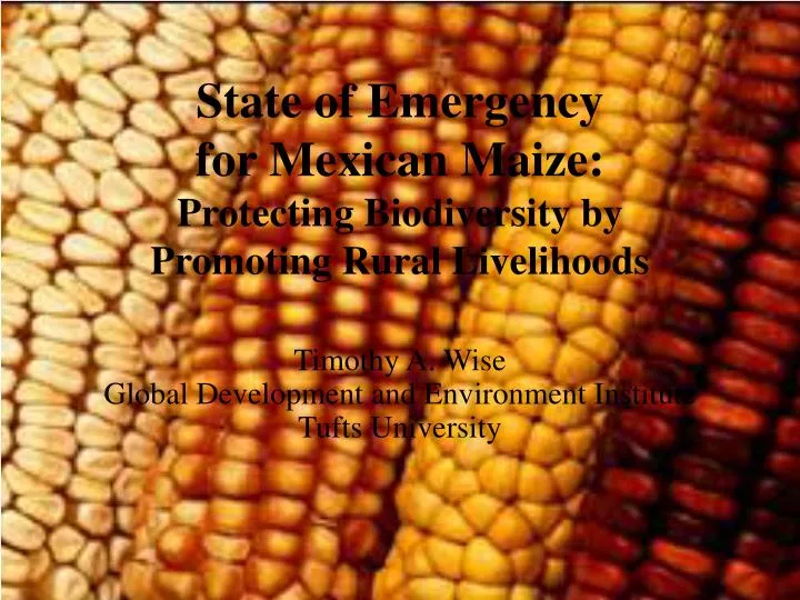 state of emergency for mexican maize protecting biodiversity by promoting rural livelihoods