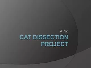 Cat Dissection Project