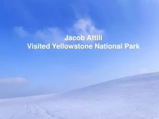 Jacob Attili Visited Yellowstone National Park