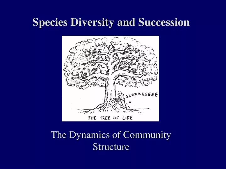 species diversity and succession