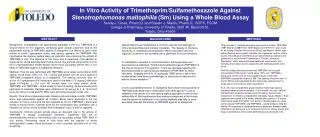 In Vitro Activity of Trimethoprim/Sulfamethoxazole Against Stenotrophomonas maltophilia (Sm) Using a Whole Blood Assay