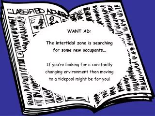 WANT AD: The intertidal zone is searching for some new occupants…