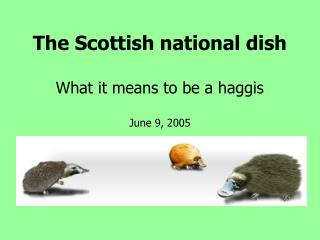 The Scottish national dish What it means to be a haggis June 9, 2005