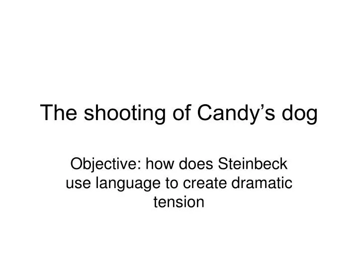 the shooting of candy s dog