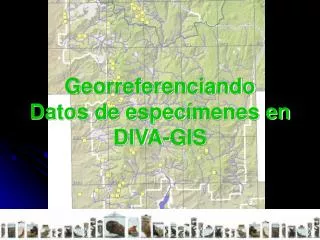 georreferenciando datos de espec menes en diva gis