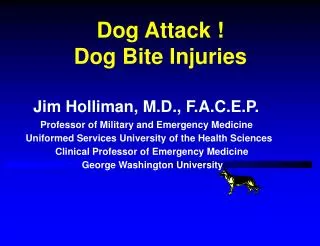 Dog Attack ! Dog Bite Injuries