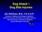 Dog Attack ! Dog Bite Injuries - slide 1