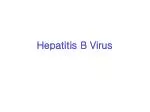 Hepatitis B Virus - slide 1