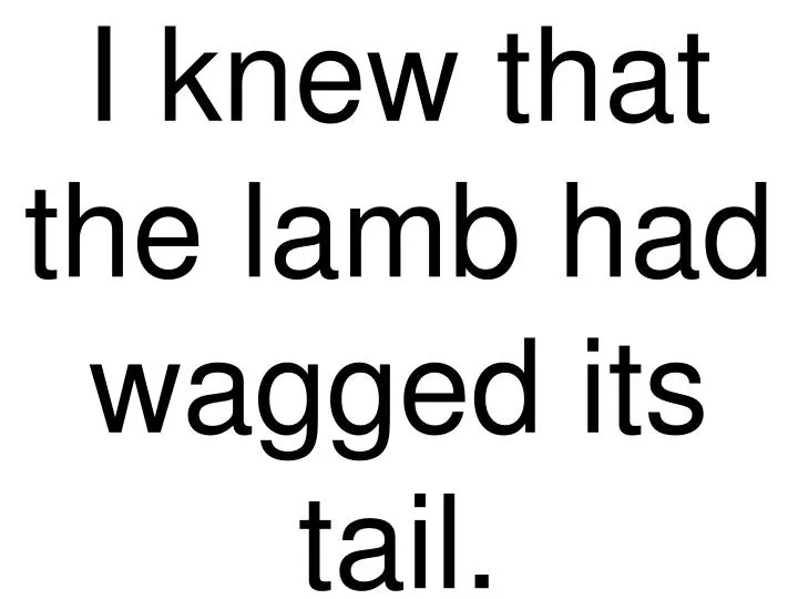 i knew that the lamb had wagged its tail