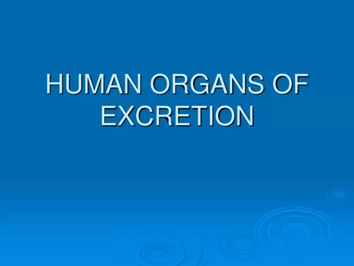 human organs of excretion