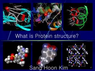 What is Protein structure?