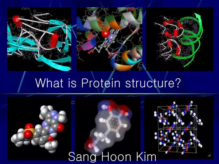 what is protein structure