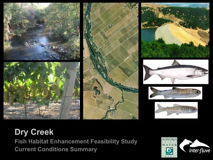 dry creek fish habitat enhancement feasibility study current conditions summary