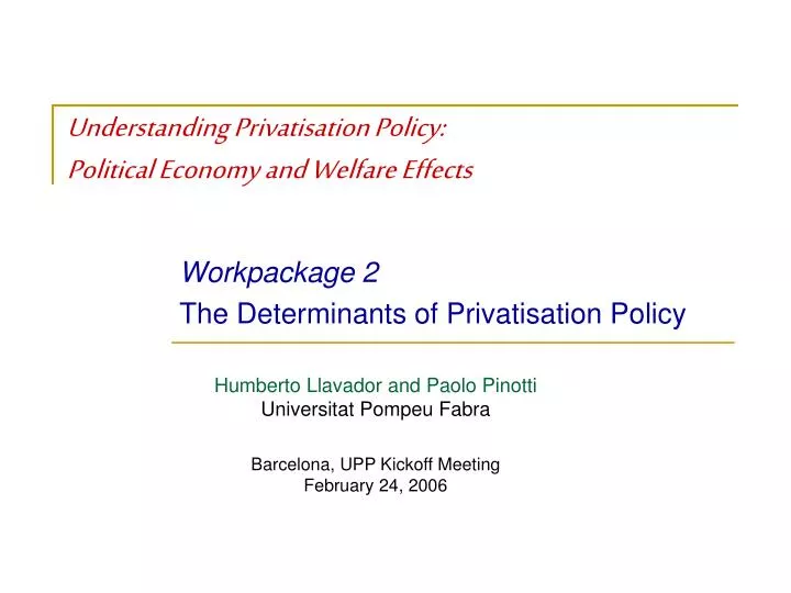 understanding privatisation policy political economy and welfare effects