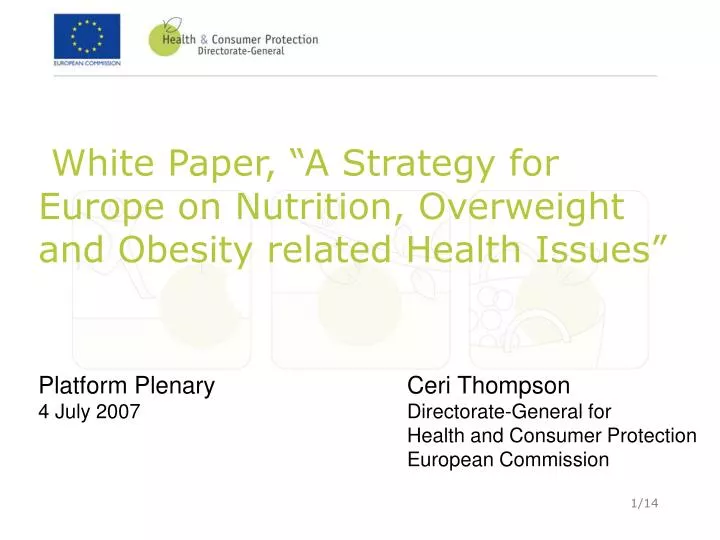 white paper a strategy for europe on nutrition overweight and obesity related health issues