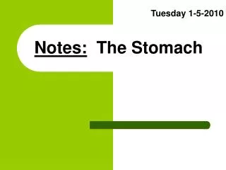 Notes: The Stomach