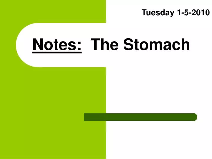 notes the stomach