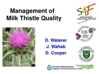 Management of Milk Thistle Quality