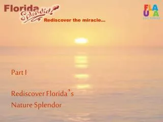 Rediscover the miracle…