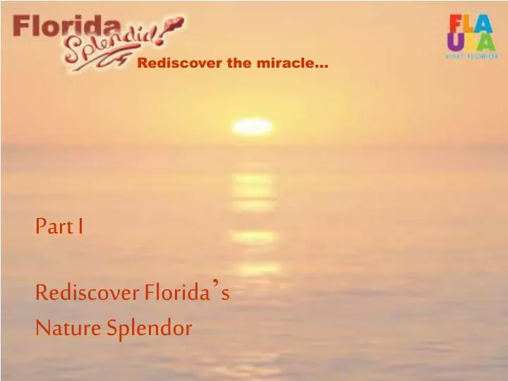 rediscover the miracle