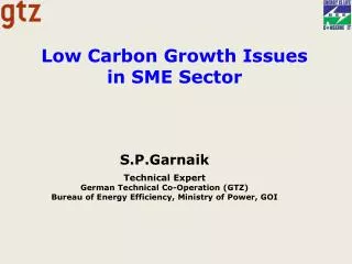 Low Carbon Growth Issues in SME Sector