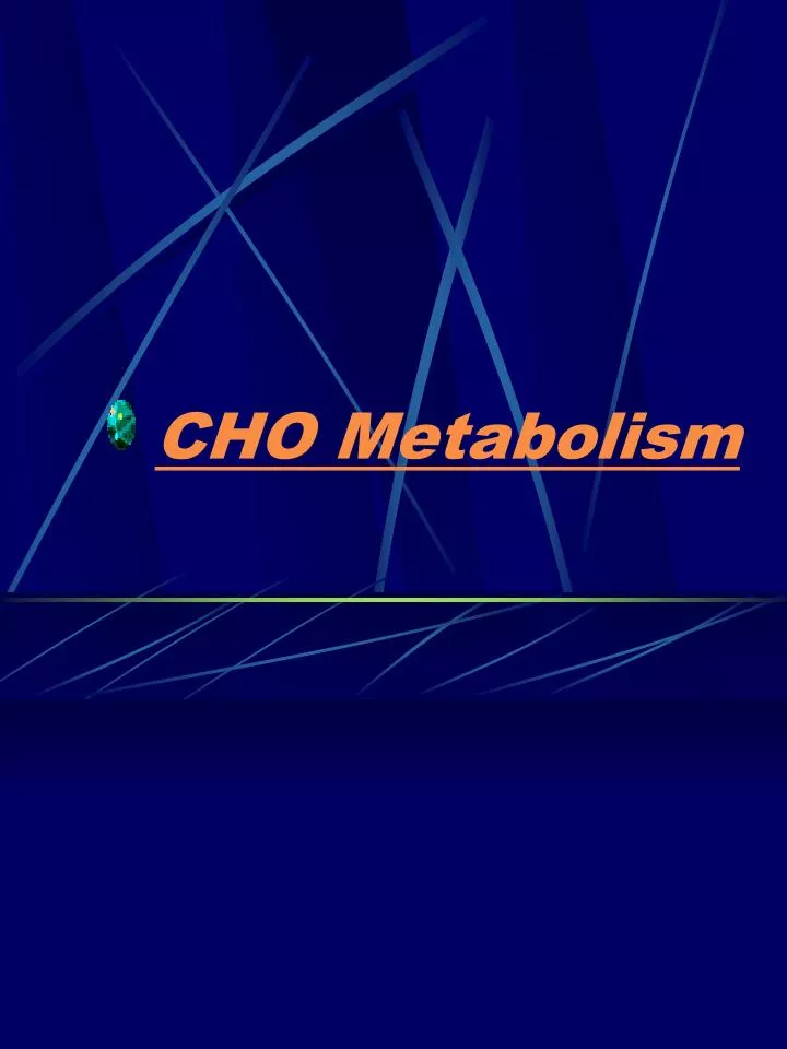 cho metabolism