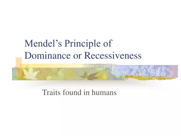 mendel s principle of dominance or recessiveness