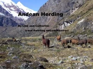 Andean Herding By Line and Catherine (cave dwelling extraordinaires)