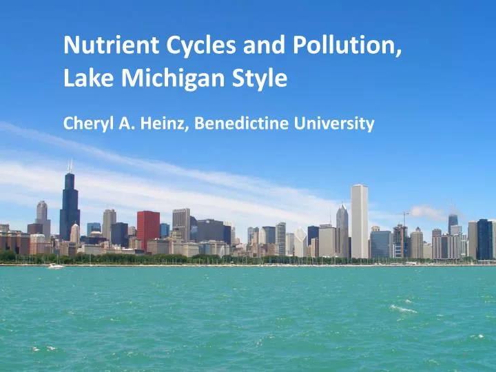 nutrient cycles and pollution lake michigan style