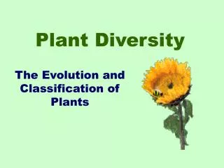 Plant Diversity