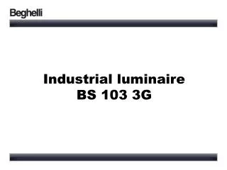 Industrial luminaire BS 103 3G