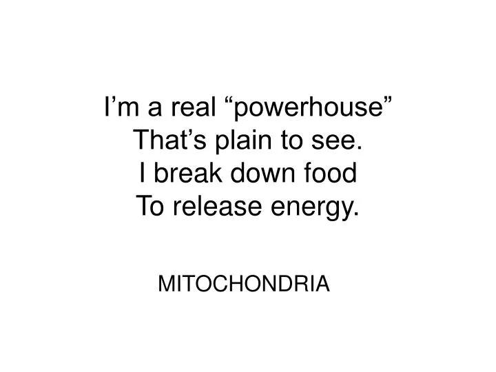 i m a real powerhouse that s plain to see i break down food to release energy