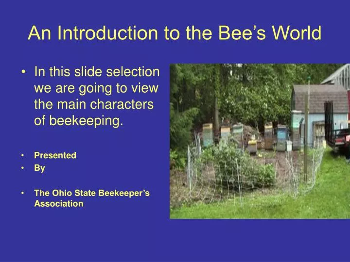 an introduction to the bee s world