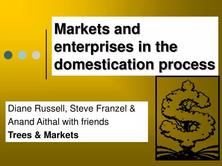 markets and enterprises in the domestication process