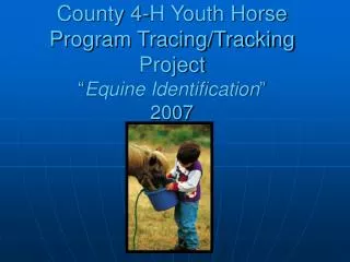 County 4-H Youth Horse Program Tracing/Tracking Project “ Equine Identification ” 2007