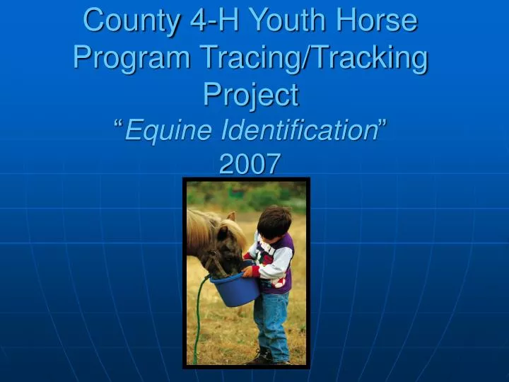 county 4 h youth horse program tracing tracking project equine identification 2007