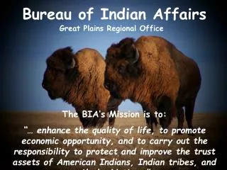 Bureau of Indian Affairs