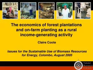 The economics of forest plantations and on-farm planting as a rural income-generating activity