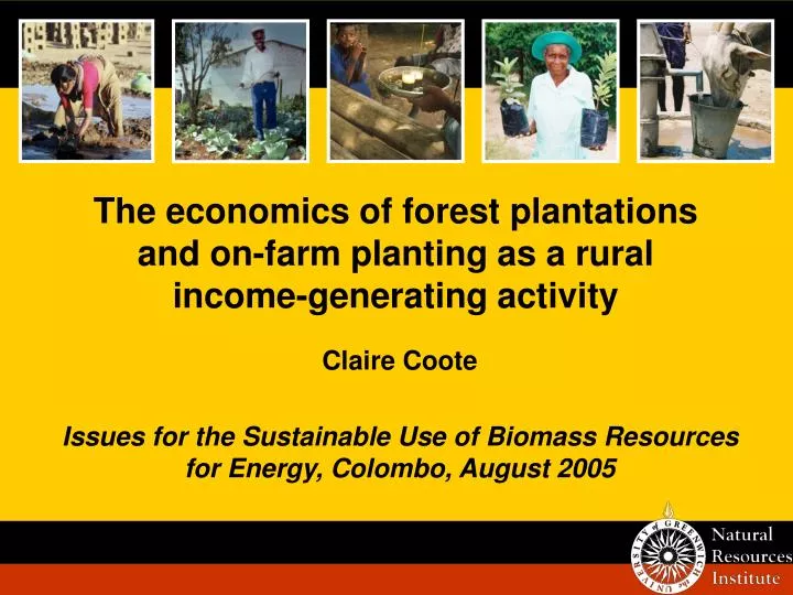 the economics of forest plantations and on farm planting as a rural income generating activity